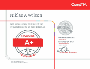 Niklas Wilson Testout Pro Network Certification