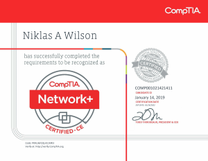 Niklas Wilson Testout Pro Network Certification